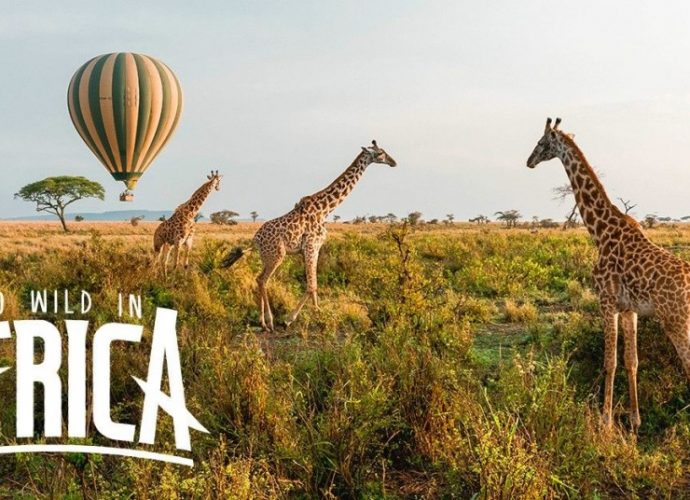 Image Showing An Adventurous and Wild Part of Africa